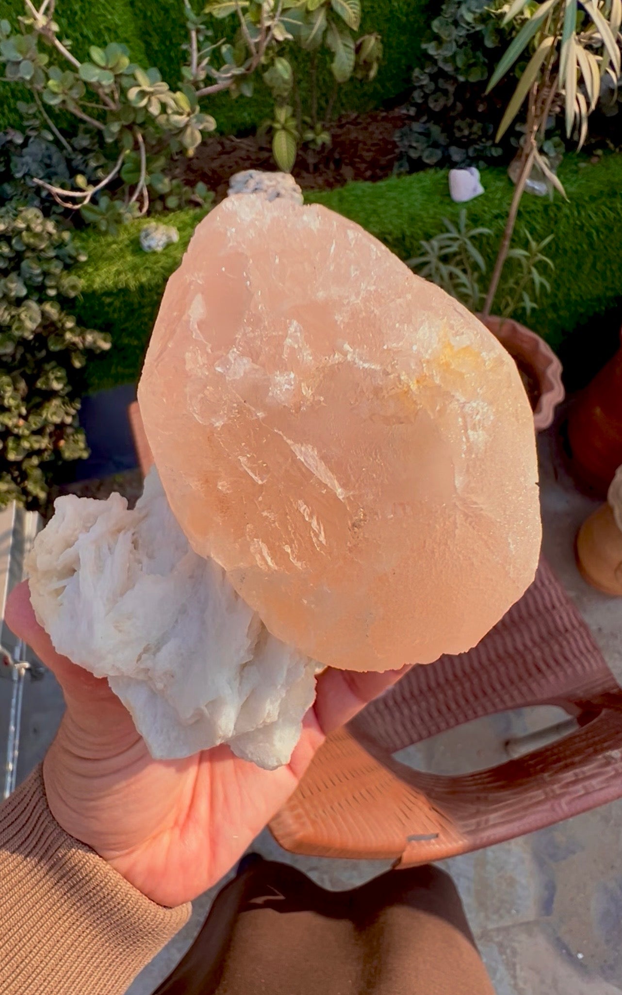 Morganite with Mica and Albite from Afghanistan, 699 gram