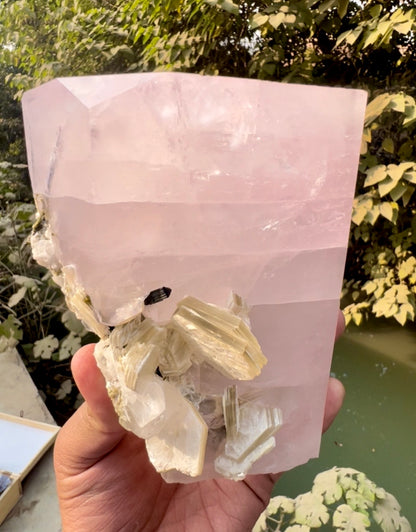 Pink Morganite crystal with Tourmalines and Mica from Pakistan, 2339 gram