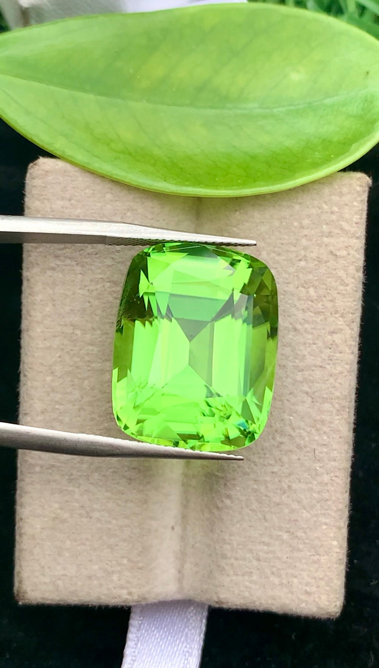 Natural Green Peridot 26.25 Ct Cushion Cut – Pakistan Peridot Gemstone