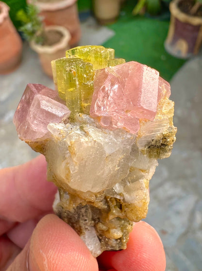 Pink Apatite crystals on Tourmaine from Pakistan, 28 gram