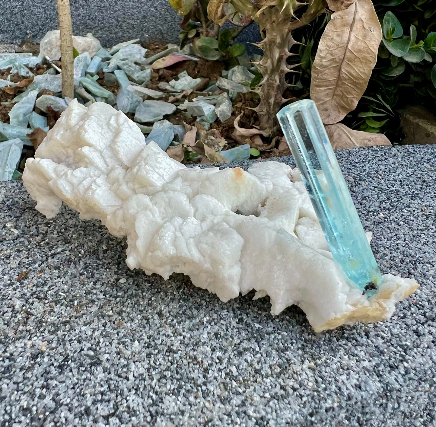 Aquamarine crystal on Albite from Pakistan, 107 gram