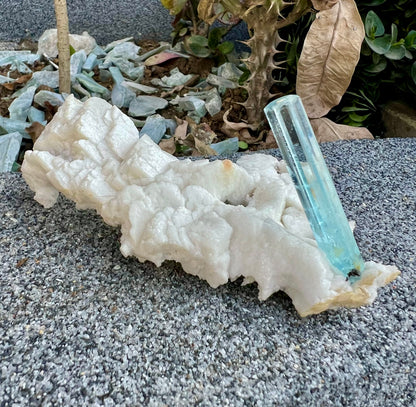 Aquamarine crystal on Albite from Pakistan, 107 gram