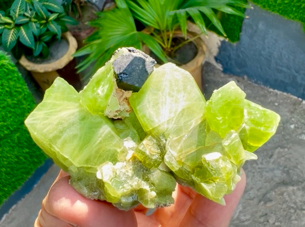 Peridot Crystals with Magnetite from Pakistan, 115 gram