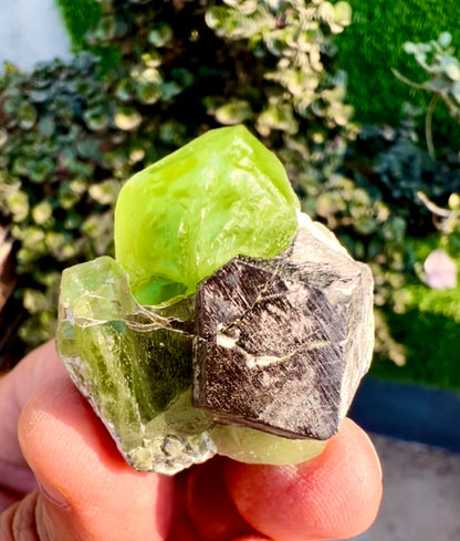 Peridot with Magnetite specimen from Pakistan, 28 gram
