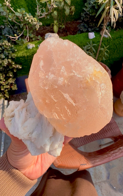 Morganite with Mica and Albite from Afghanistan, 699 gram