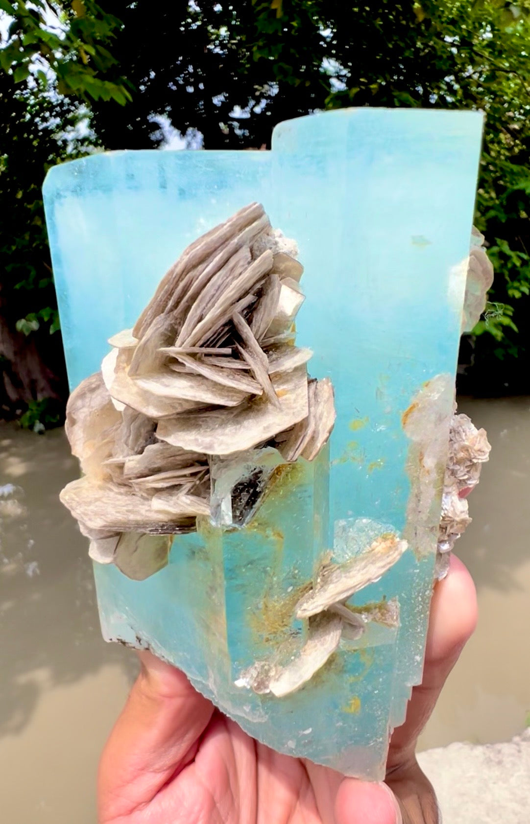 Aquamarine crystal with Muscovite Mica from Pakistan, 1433 gram