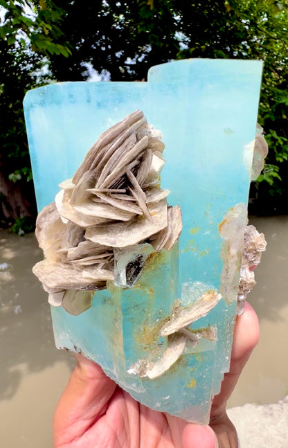 Aquamarine crystal with Muscovite Mica from Pakistan, 1433 gram