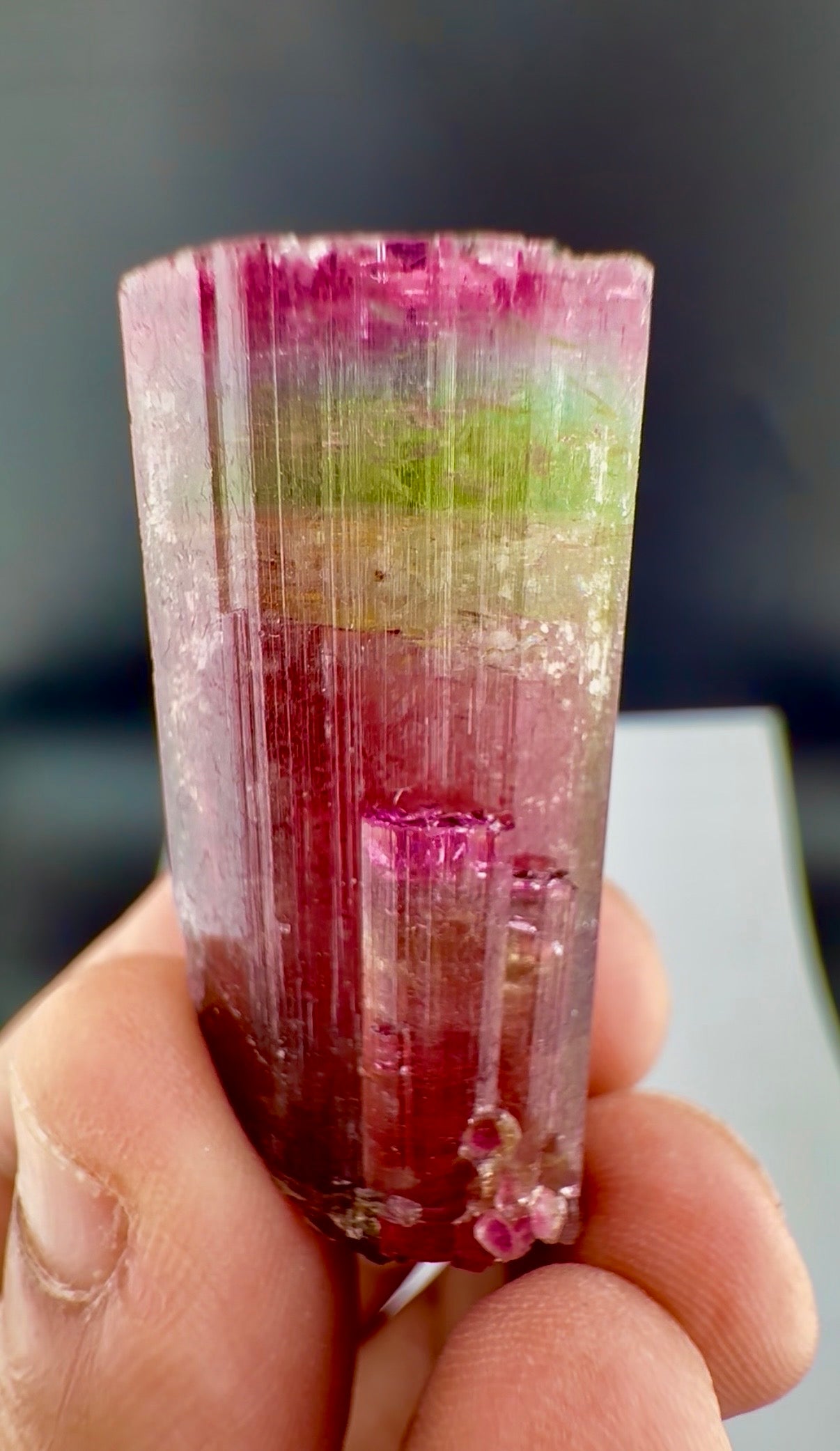 Rainbow Tourmaline crystal from Afghanistan, 125 carats