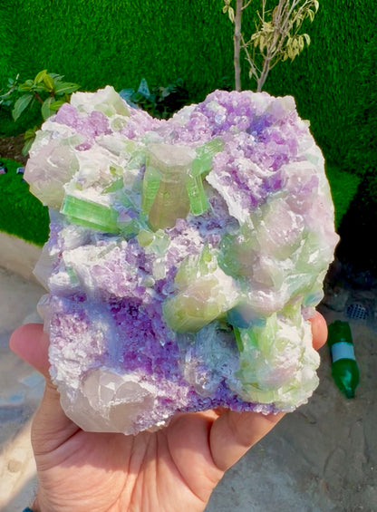 Watermelon Tourmaline Crystals with Lepidolite and Quartz from Paprok, 1300 gram