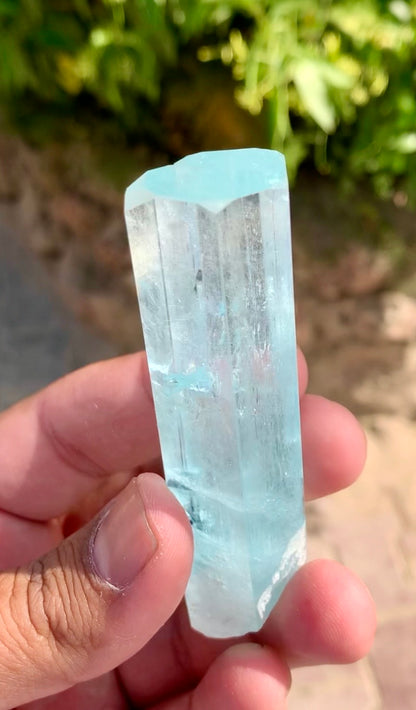 Aquamarine crystal with Schorl Tourmaline, 79 gram