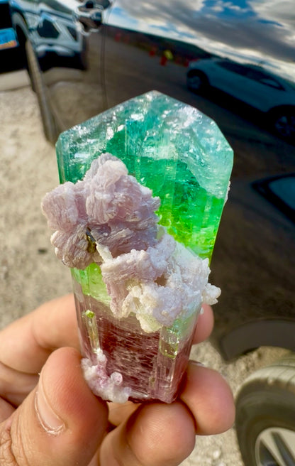 Watermelon Tourmaline Crystal with Lepidolite and Microlite from Paprok, 78 gram