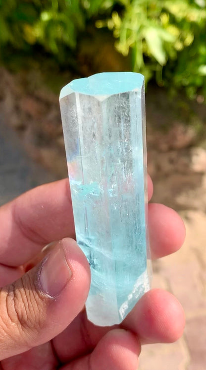 Aquamarine crystal with Schorl Tourmaline, 79 gram