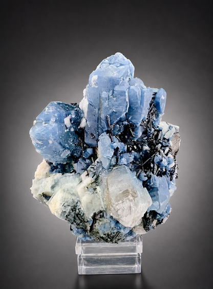 Indicolite Included Quartz Cluster with Black Schorl Tourmaline, Blue Quartz Specimen from Afghanistan, 802 gram