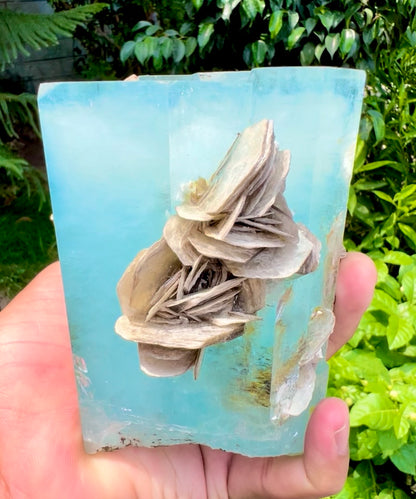 Aquamarine crystal with Muscovite Mica from Pakistan, 1433 gram