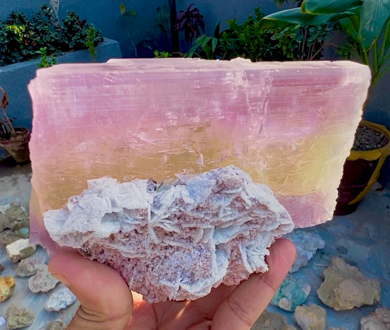 Spodumene var Kunzite with Cleavlandite Albite from Afghanistan, 1231 gram