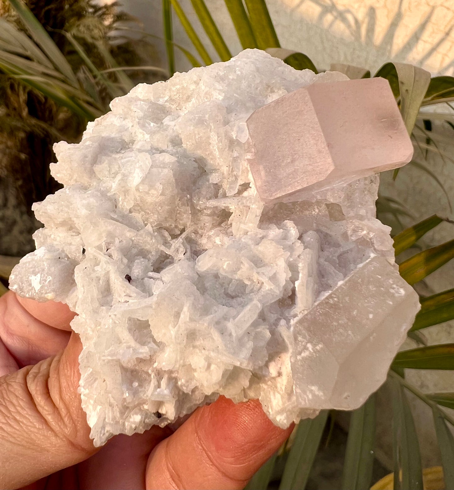 Morganite crysal with Quartz and Cleavlandite Albite from Afghanistan, 125 gram