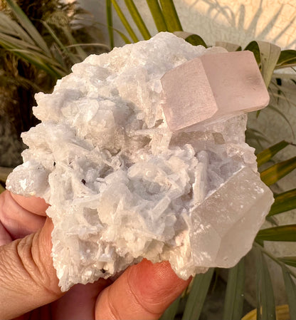 Morganite crysal with Quartz and Cleavlandite Albite from Afghanistan, 125 gram