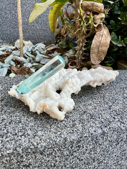 Aquamarine crystal on Albite from Pakistan, 107 gram