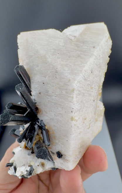 Schorl Tourmaline crystals on Microcline Feldspar from Pakistan, 186 gram