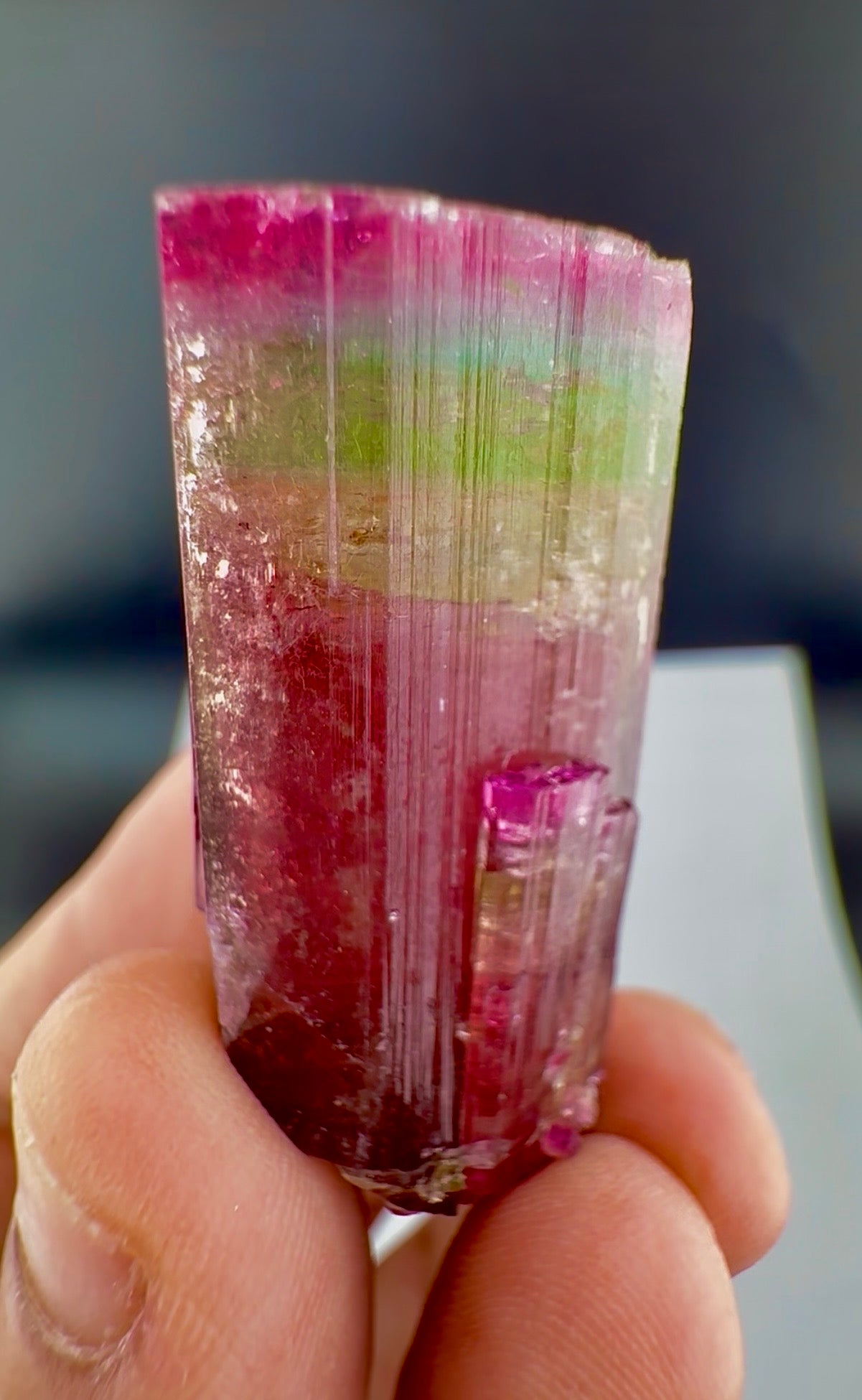 Rainbow Tourmaline crystal from Afghanistan, 125 carats