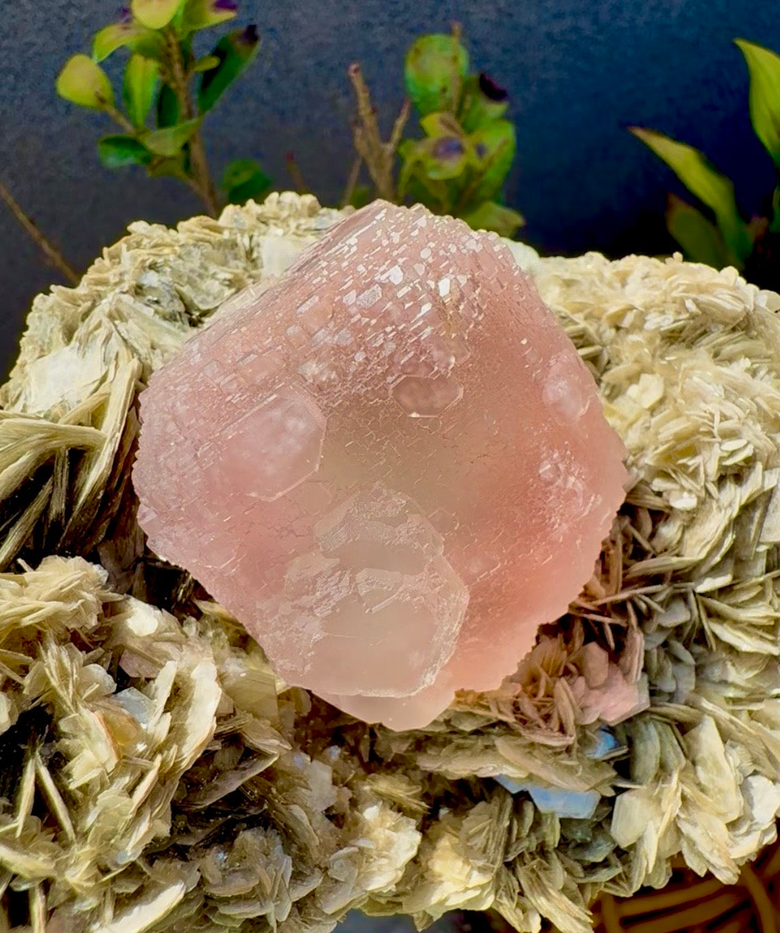 Pink Fluorite on Mica from Pakistan , 1436 gram