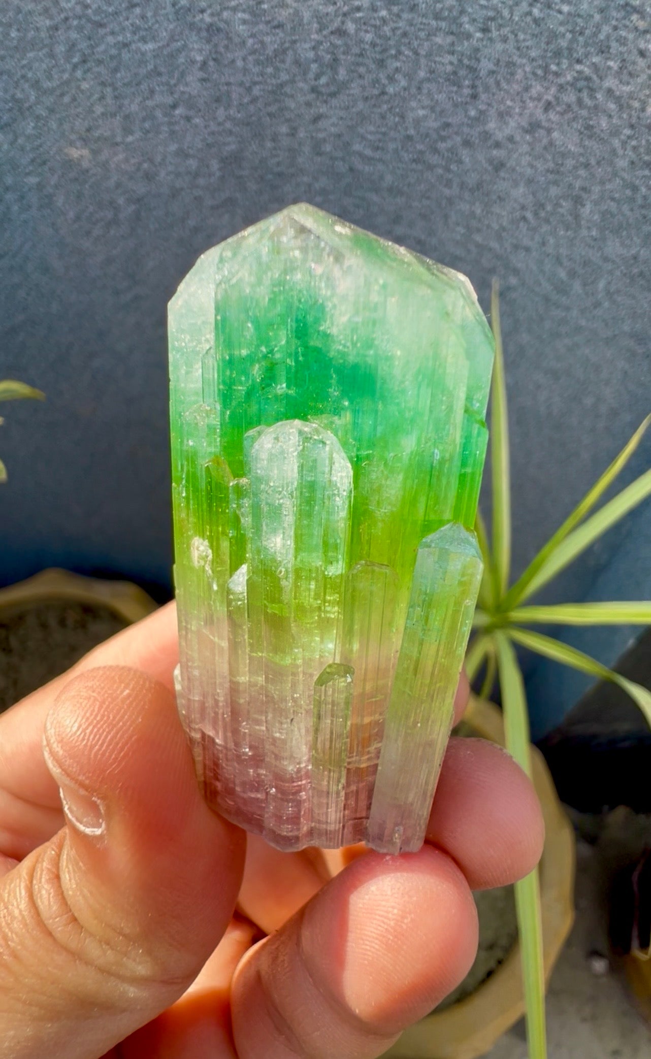 Multicolor Tourmaline Crystal from Paprok  - 76 gram