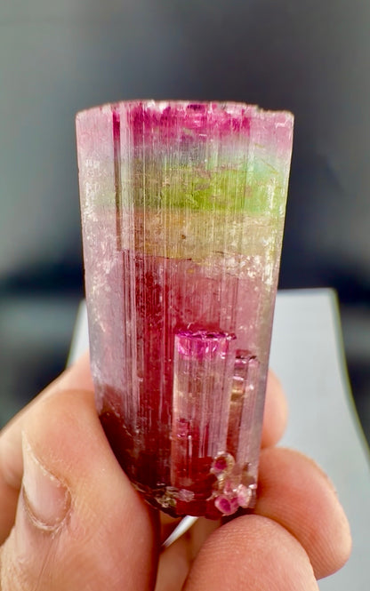 Rainbow Tourmaline crystal from Afghanistan, 125 carats