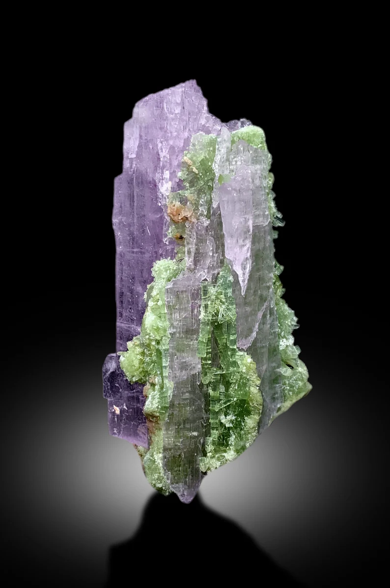 Full profile of kunzite tourmaline combination specimen
Green tourmaline crystals beside pink kunzite