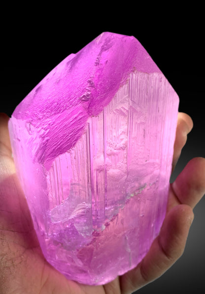 Full profile of large deep pink kunzite mineral
Kunzite crystal lit from beneath showing internal color