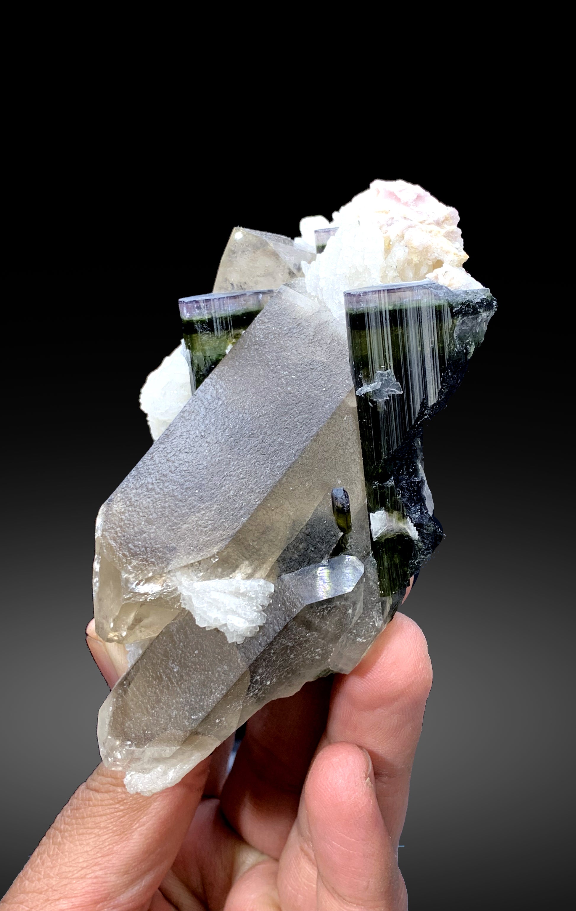 Full profile of tourmaline on smoky quartz and albite
Tourmaline crystal faces showing tricolor zoning