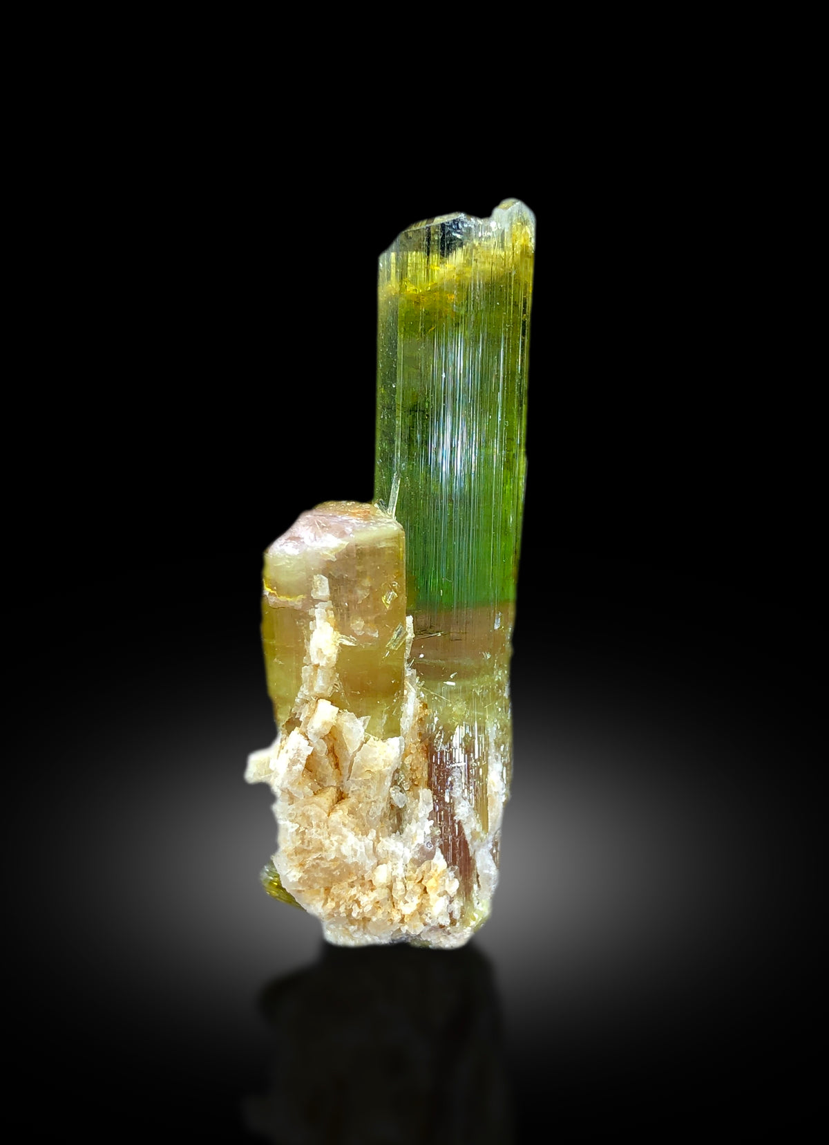 Full profile of tourmaline with lepidolite matrix
Tourmaline crystal faces showing pink green zoning