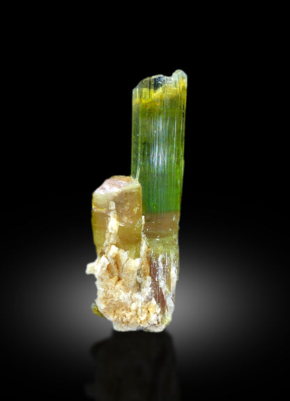 Full profile of tourmaline with lepidolite matrix
Tourmaline crystal faces showing pink green zoning