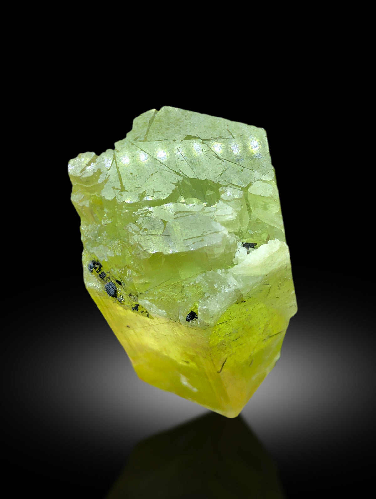 Top view of 82 gram heliodor specimen
Heliodor crystal with scale reference for size
Terminated point of natural heliodor crystal
Full profile of yellow beryl heliodor crystal