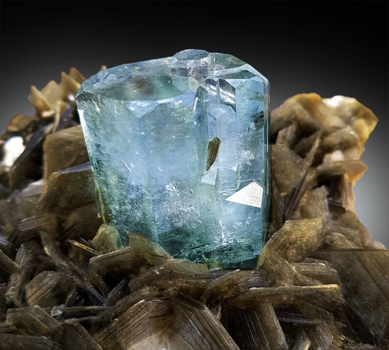 Top grade aquamarine with muscovite mica 260x175mm
Gem grade aquamarine crystal 41x37mm terminated close-up
Self-standing aquamarine specimen 8.5kg display piece