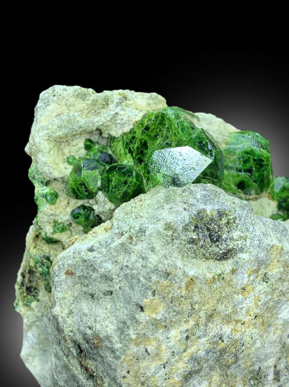 Green Demantoid Garnet crystal cluster collector specimen
Rare garnet crystal cluster on matrix from Pakistan