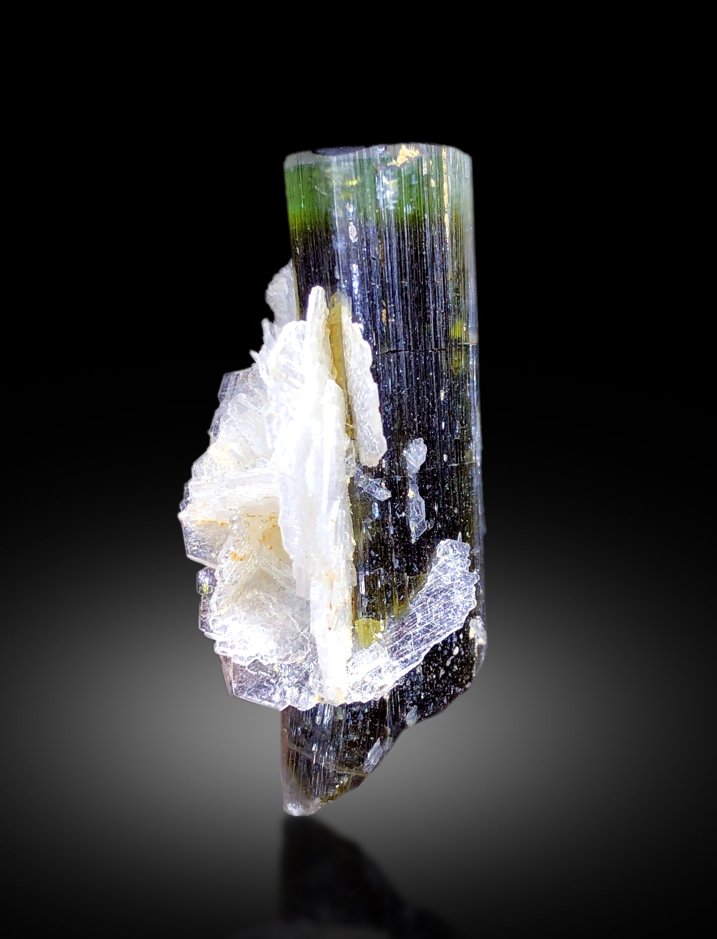 Green color zoning along elongated tourmaline crystal
Raw prismatic tourmaline on cleavelandite albite base