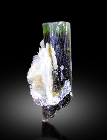 Green color zoning along elongated tourmaline crystal
Raw prismatic tourmaline on cleavelandite albite base