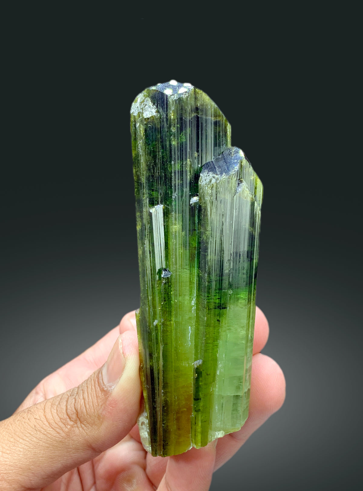 Green tourmaline crystal, damage free termination detail
Natural tourmaline crystal, 107x35x25mm, full view