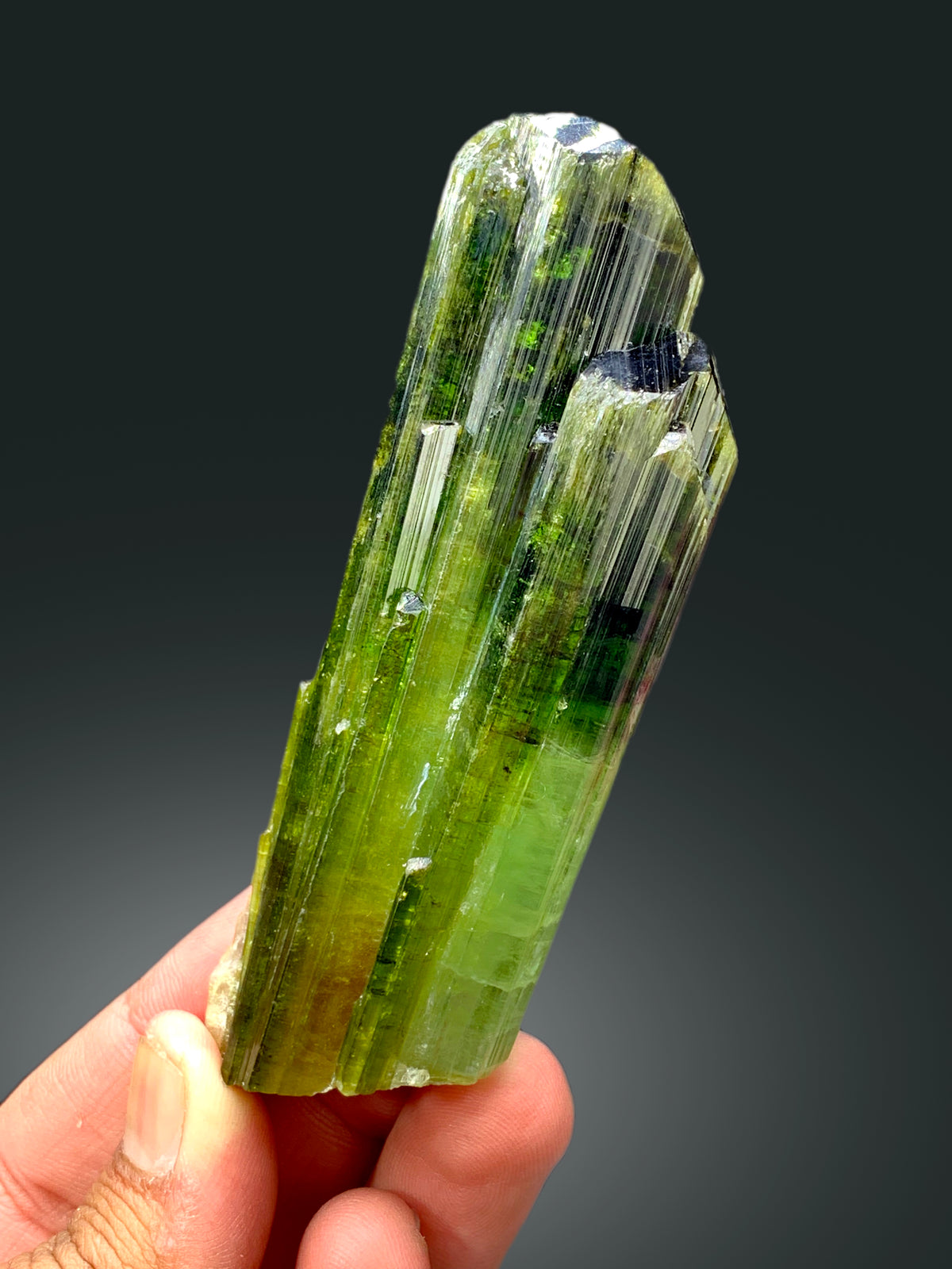 Green tourmaline crystal from Afghanistan, top view
Natural untreated tourmaline crystal, display angle