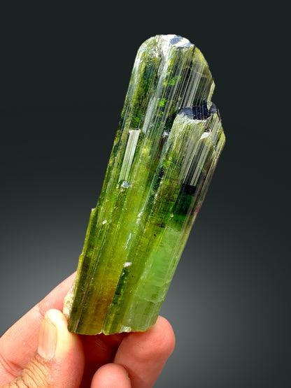 Green tourmaline crystal from Afghanistan, top view
Natural untreated tourmaline crystal, display angle