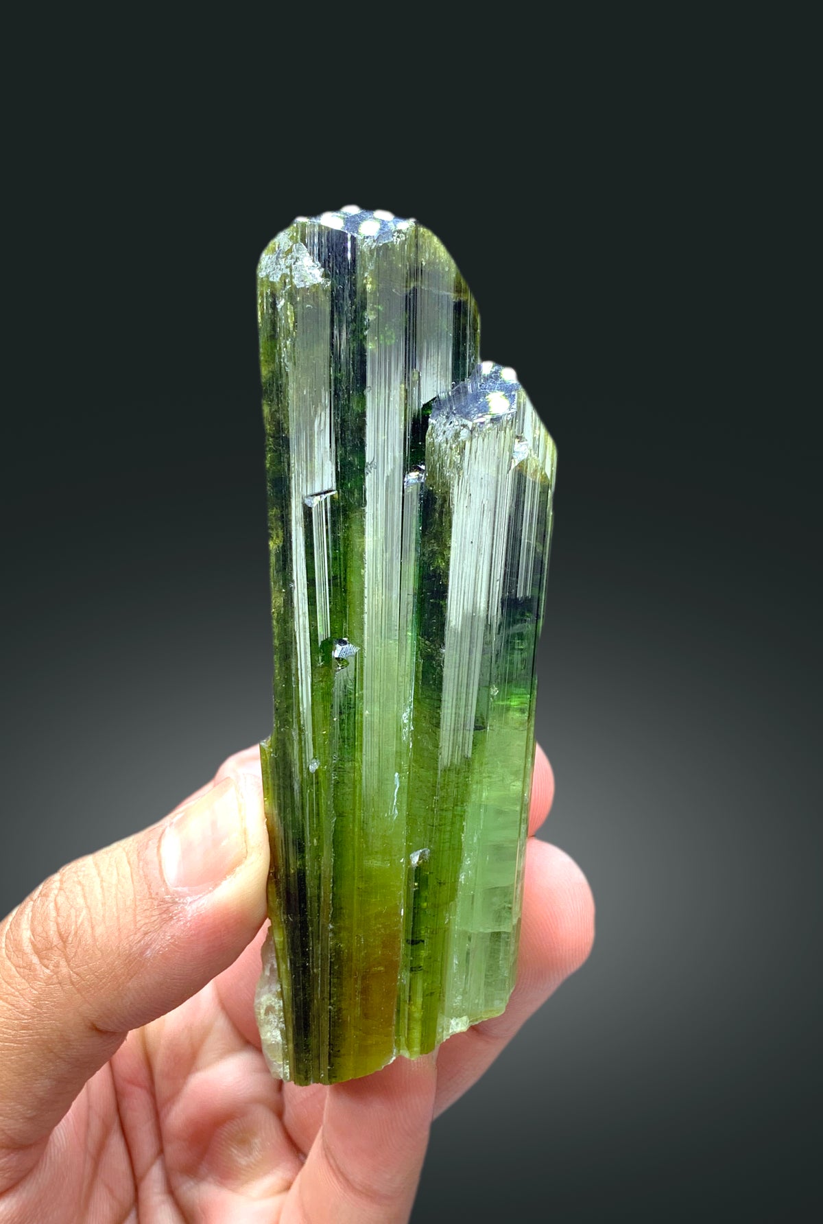 Green tourmaline crystal showing excellent luster
Stepwise terminated tourmaline crystal, close-up