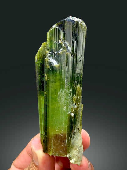 Green tourmaline specimen, collector angle view
Natural tourmaline crystal, back view
Terminated green tourmaline, macro termination detail