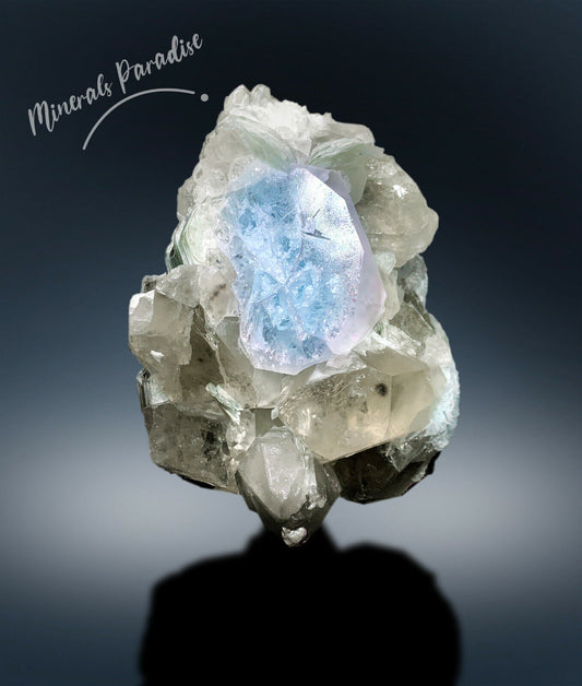 AQUAMORGANITE WITH TANTALITE, QUARTZ, MICA, MORGANITE AQUAMARINE, BI-COLORBERYL - 1814 GRAM