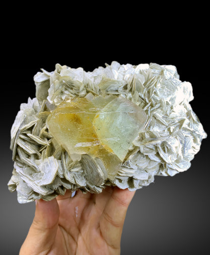 Natural Bicolor Fluorite on Muscovite Mica from Nagar valley Pakistan - 710 gram