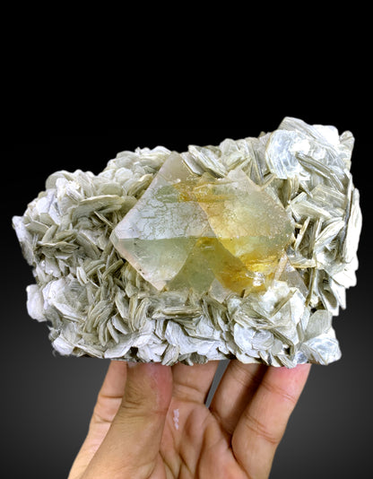 Natural Bicolor Fluorite on Muscovite Mica from Nagar valley Pakistan - 710 gram
