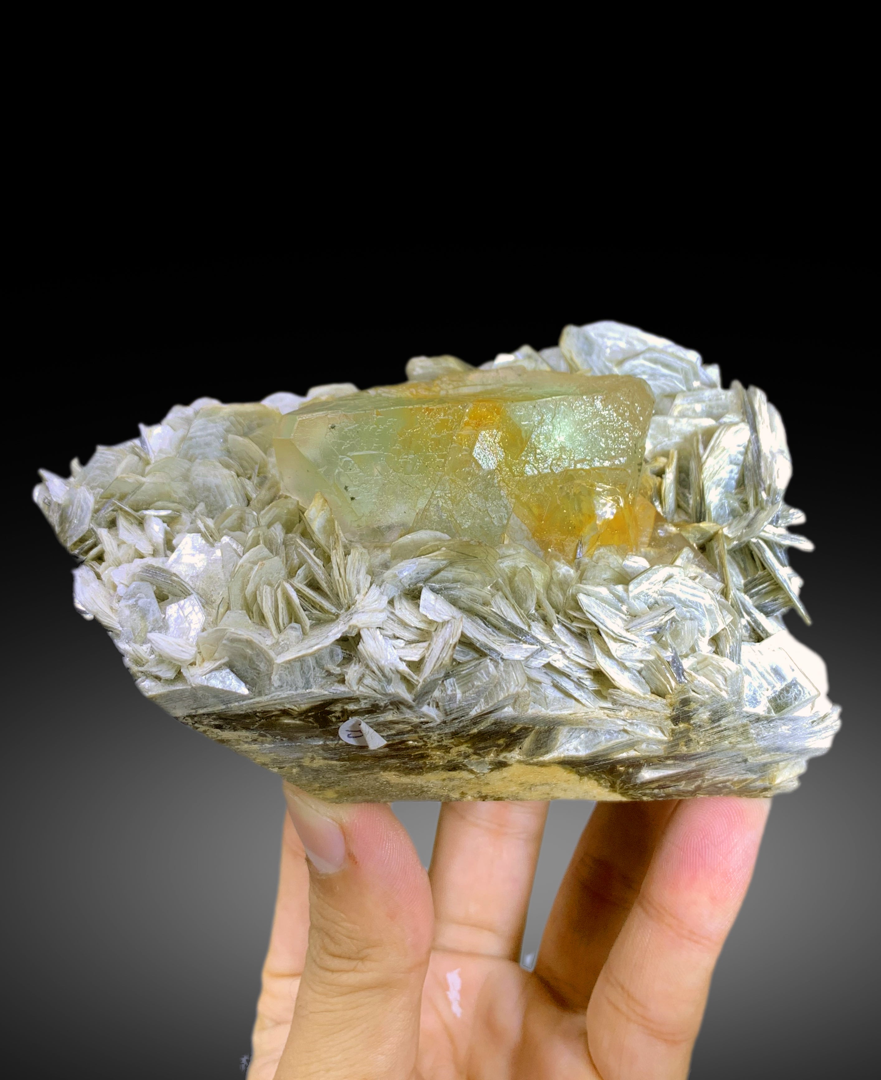 Natural Bicolor Fluorite on Muscovite Mica from Nagar valley Pakistan - 710 gram