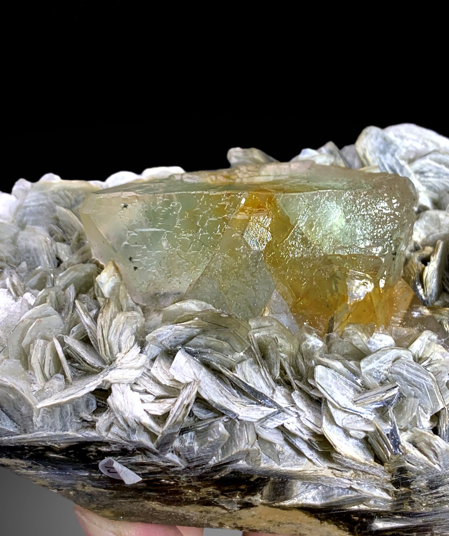 Natural Bicolor Fluorite on Muscovite Mica from Nagar valley Pakistan - 710 gram