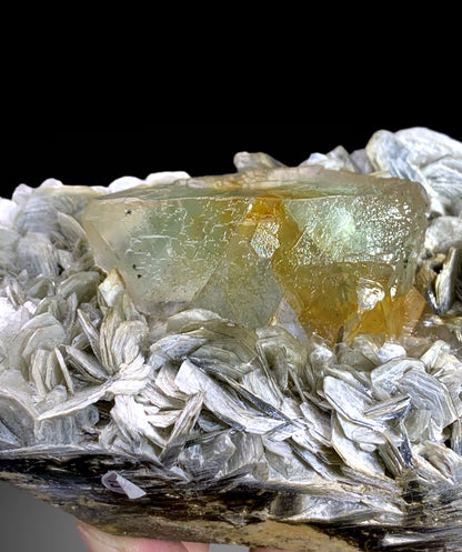 Natural Bicolor Fluorite on Muscovite Mica from Nagar valley Pakistan - 710 gram