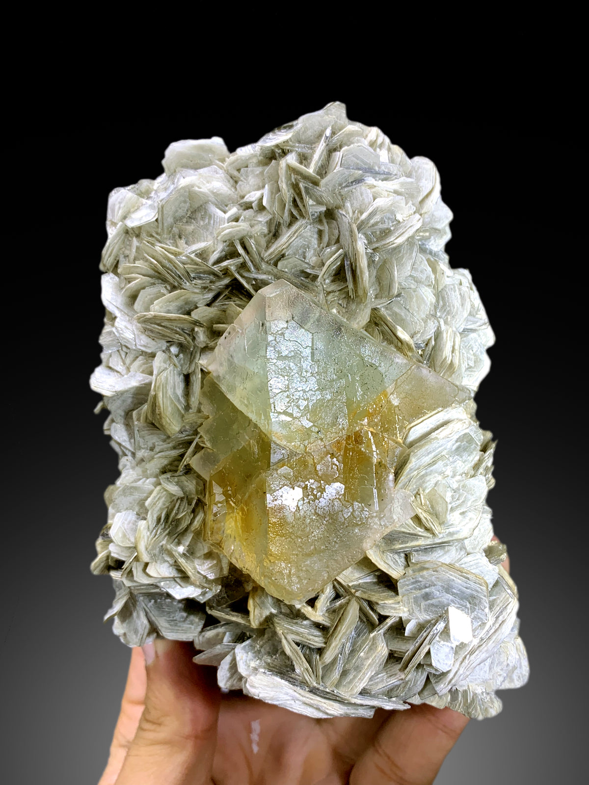 Natural Bicolor Fluorite on Muscovite Mica from Nagar valley Pakistan - 710 gram