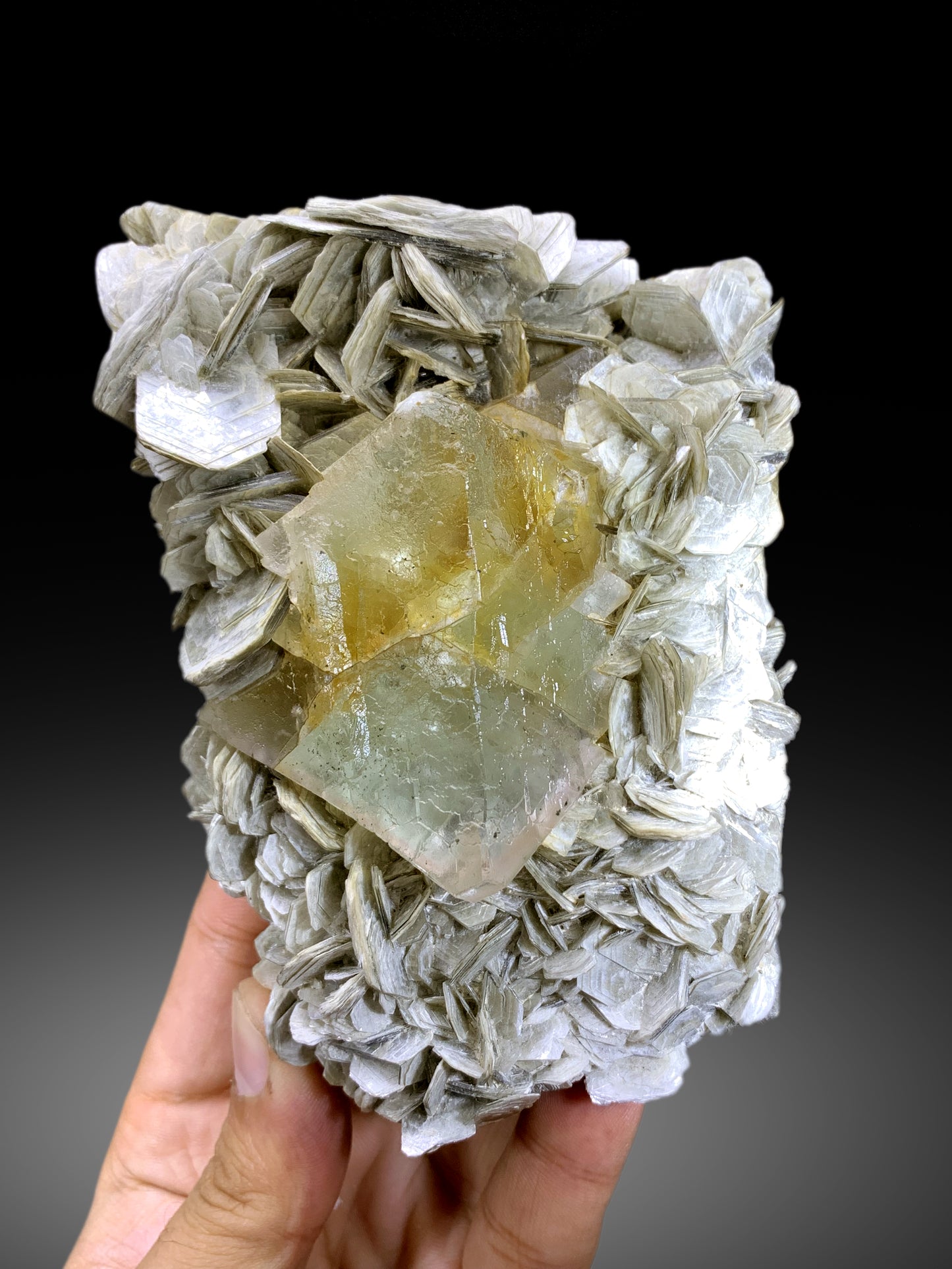 Natural Bicolor Fluorite on Muscovite Mica from Nagar valley Pakistan - 710 gram